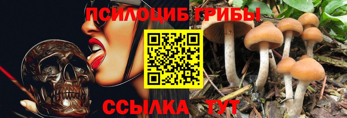 Галлюциногенные грибы GOLDEN TEACHER Ессентуки